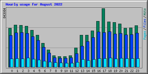 Hourly usage for August 2022